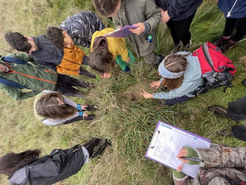 Youth Climate Action Group at Heal Rewilding searching through long grass doing a nature survey.